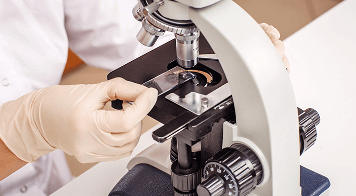 In-House-Lab In-House-Lab