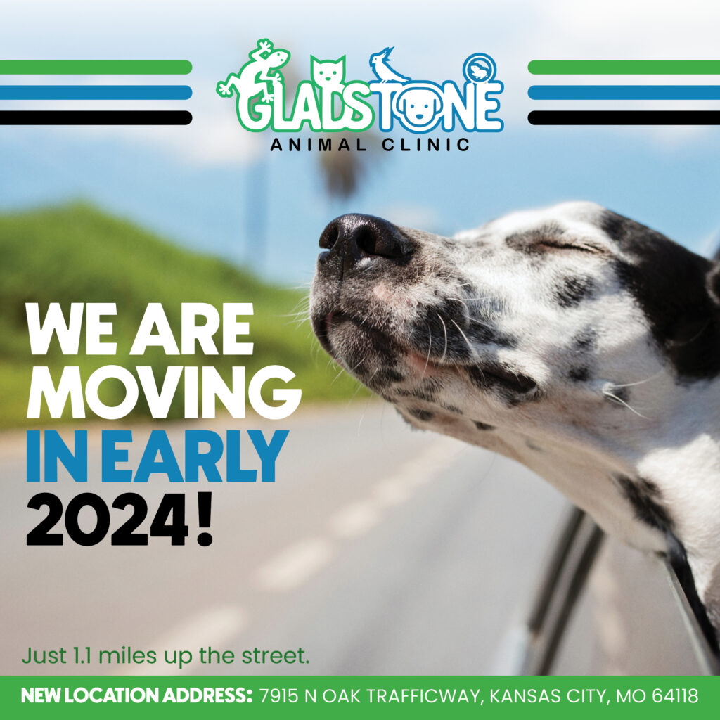 Veterinarian in Gladstone, MO Gladstone Animal Clinic